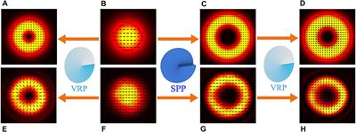 Observation of the Rotational Doppler Effect With Structured Beams in Atomic Vapor